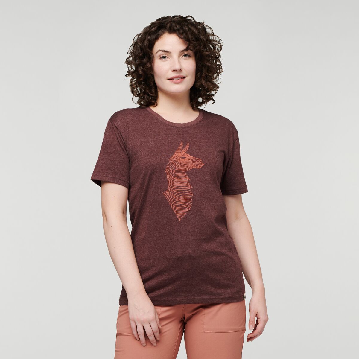 Topo Llama T-Shirt - Women's — image 1