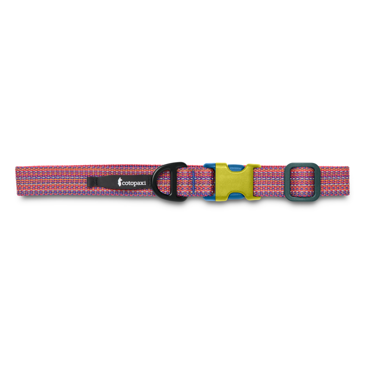 Del Día Dog Collar — image 2