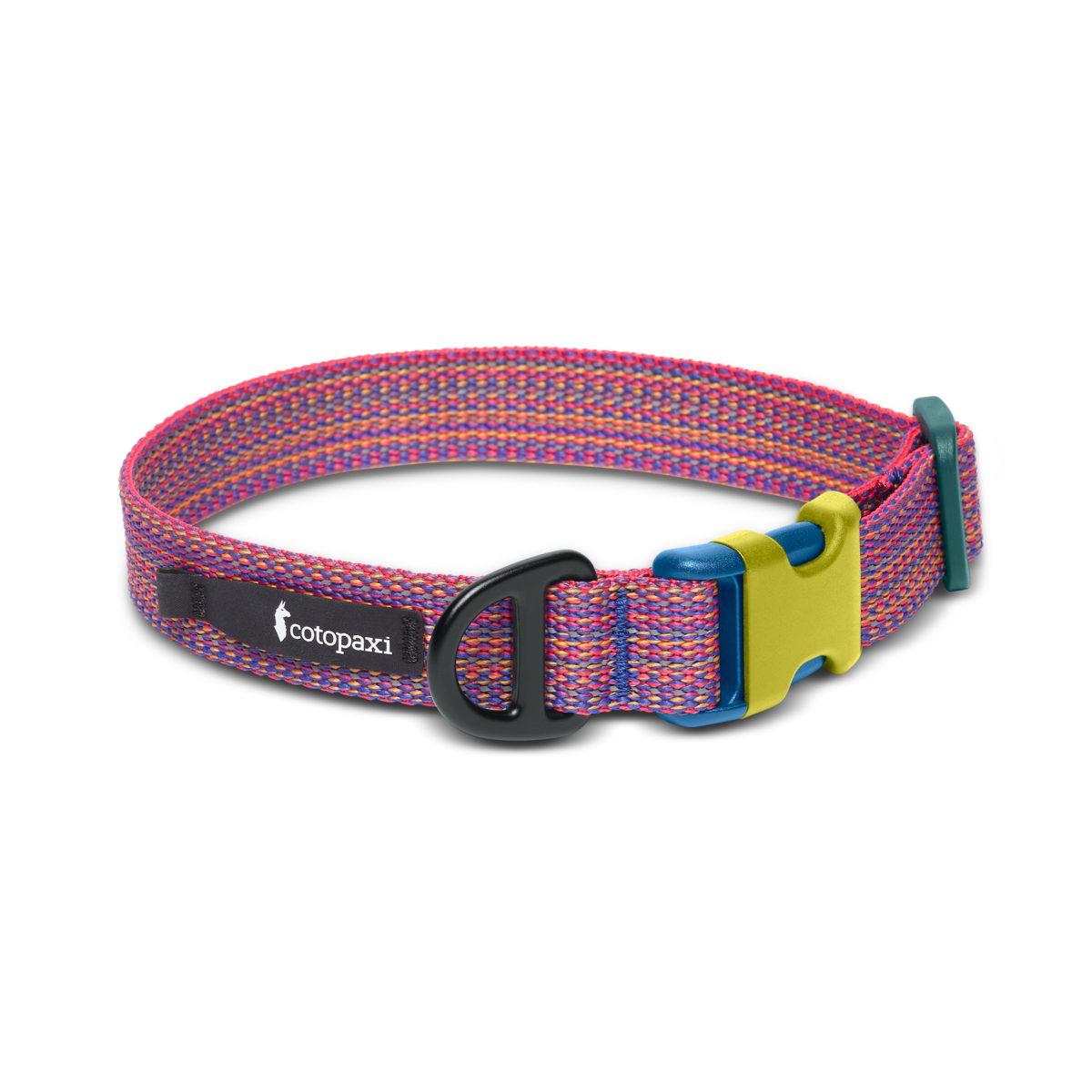 Del Día Dog Collar — image 1