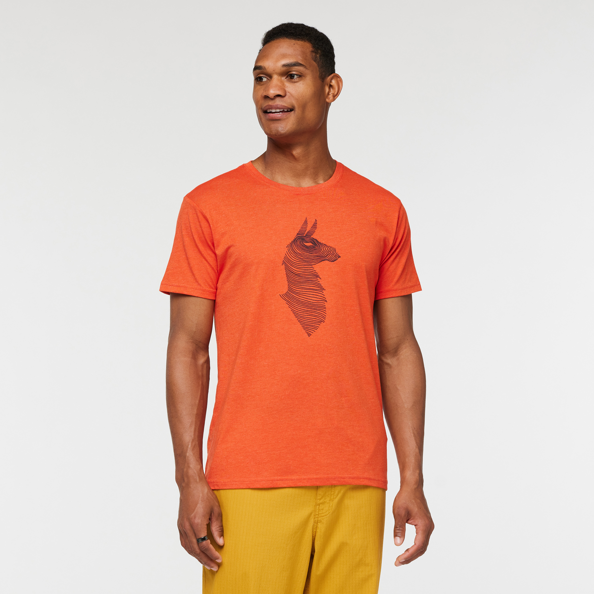 Topo Llama T-Shirt - Men's — image 14