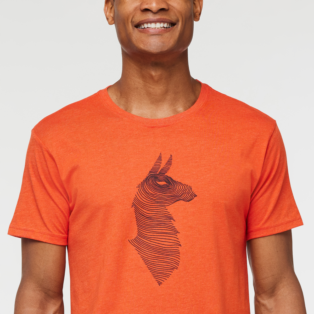 Topo Llama T-Shirt - Men's — image 18