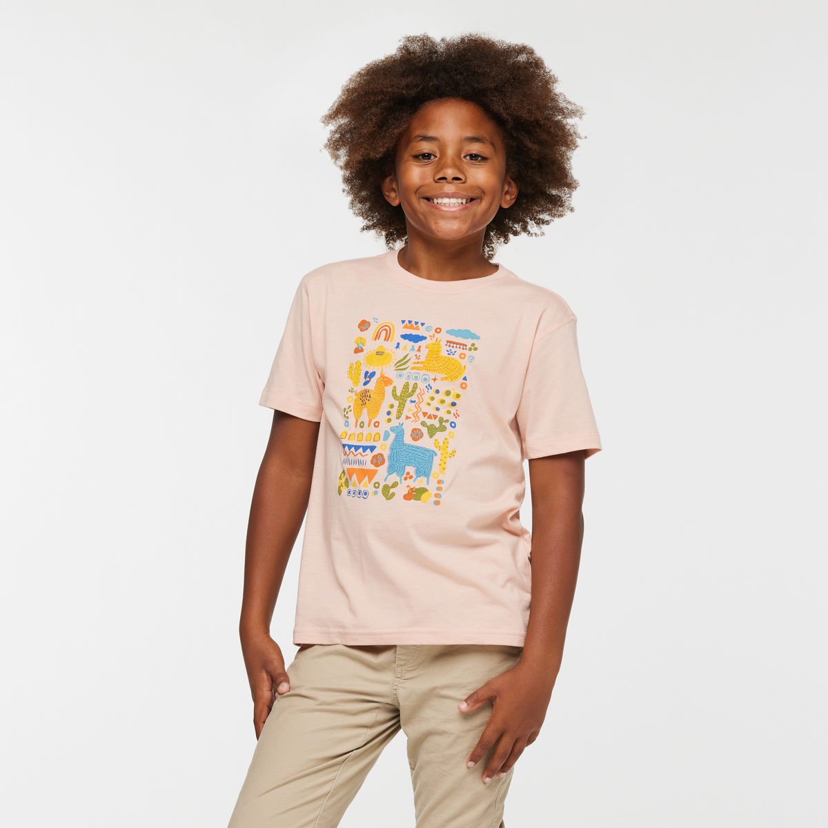 Llama Party T-Shirt - Kids' — image 1