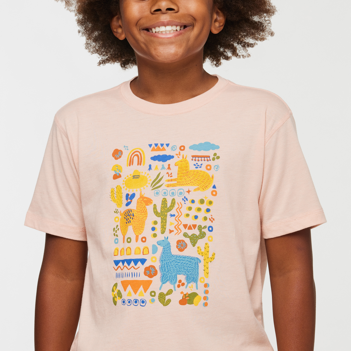 Llama Party T-Shirt - Kids' — image 5