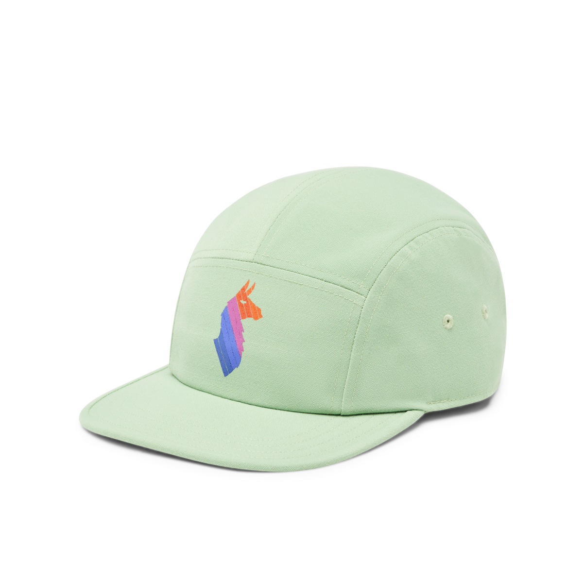 Llama Stripes 5-Panel Hat — image 1