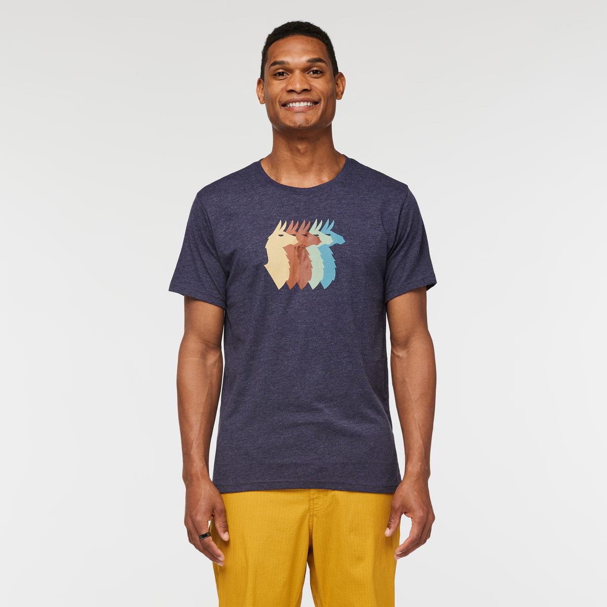 Llama Sequence T-Shirt - Men's — image 1