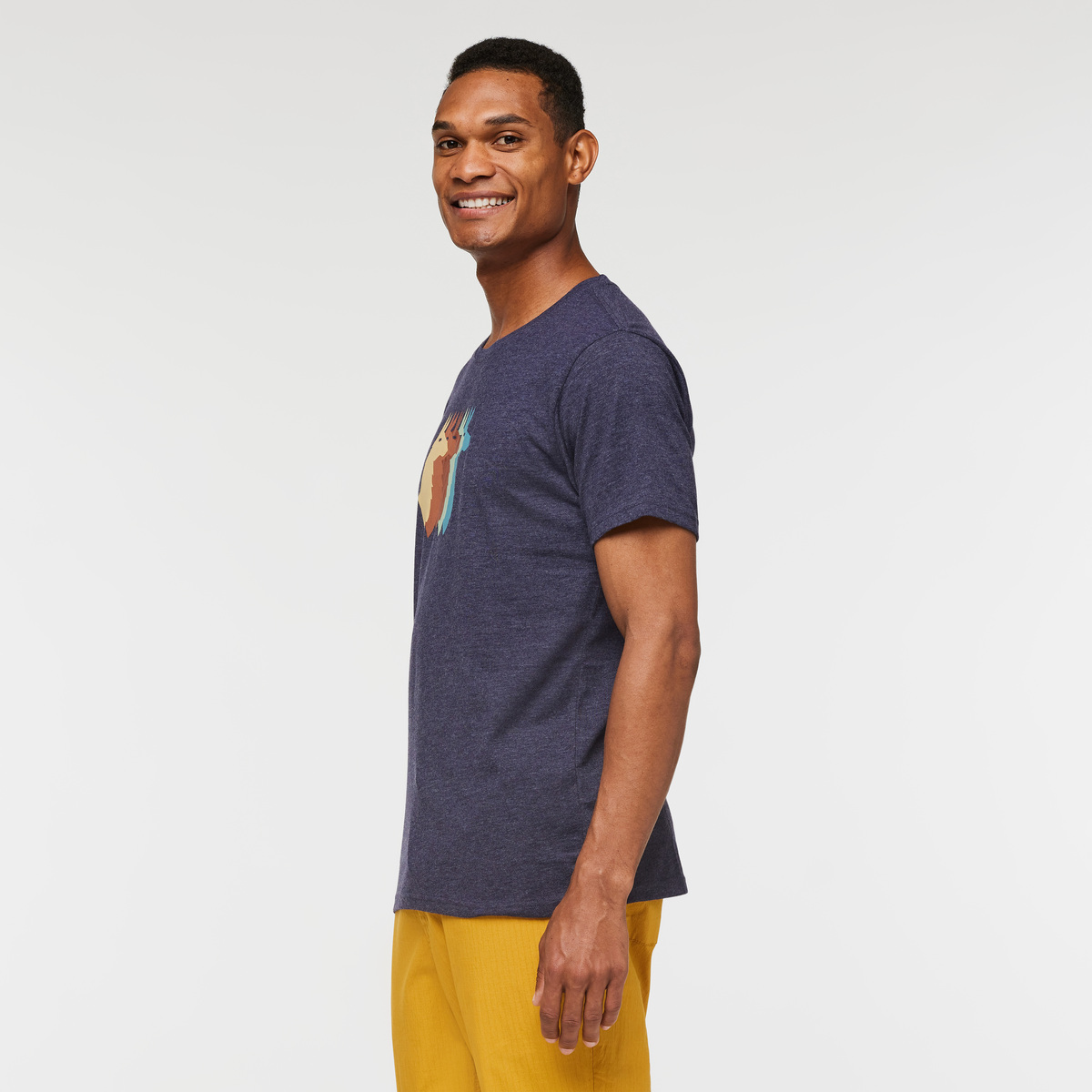 Llama Sequence T-Shirt - Men's — image 3