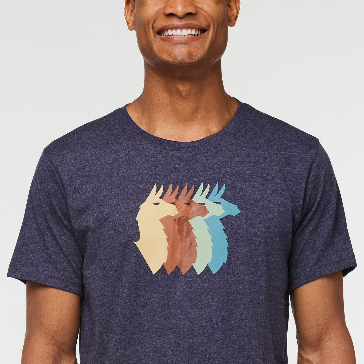 Llama Sequence T-Shirt - Men's — image 5