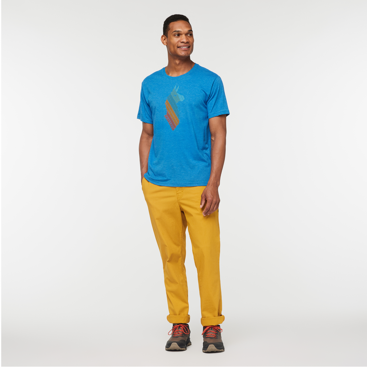 Llama Stripes T-Shirt - Men's — image 2