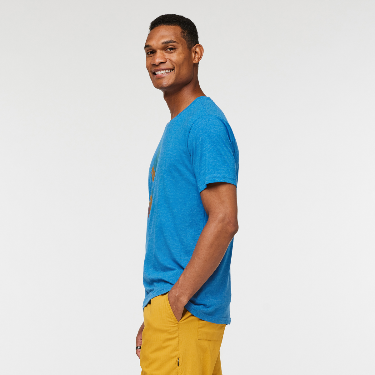 Llama Stripes T-Shirt - Men's — image 3