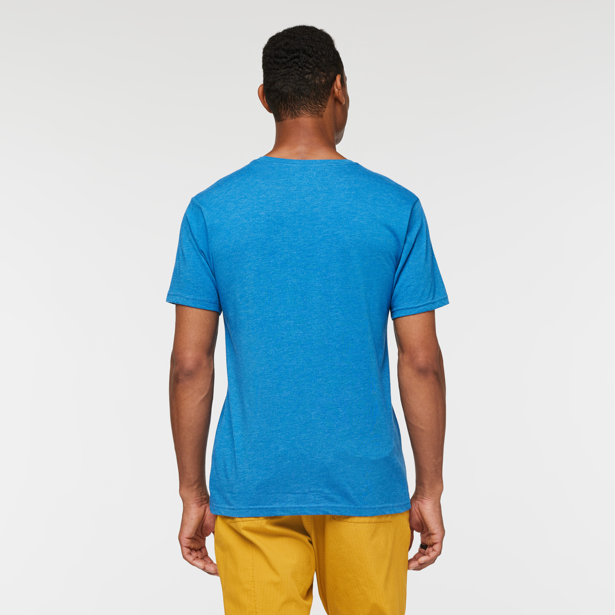 Llama Stripes T-Shirt - Men's — image 4