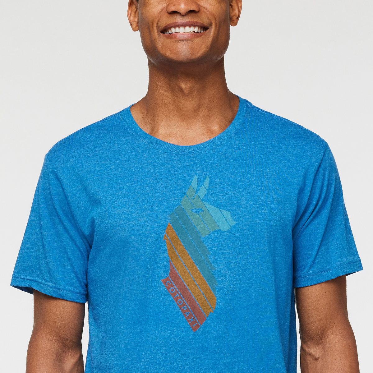Llama Stripes T-Shirt - Men's — image 5