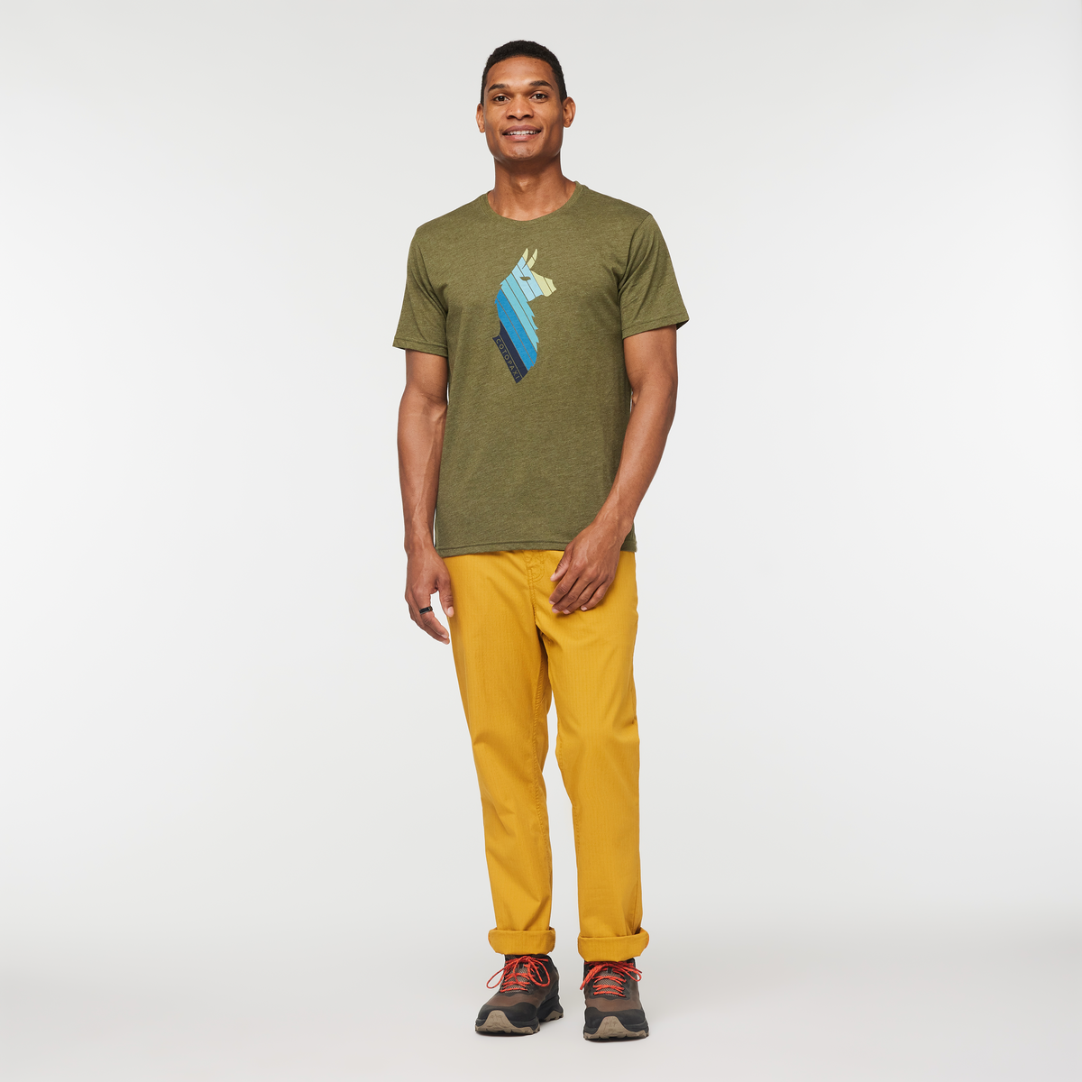 Llama Stripes T-Shirt - Men's — image 7