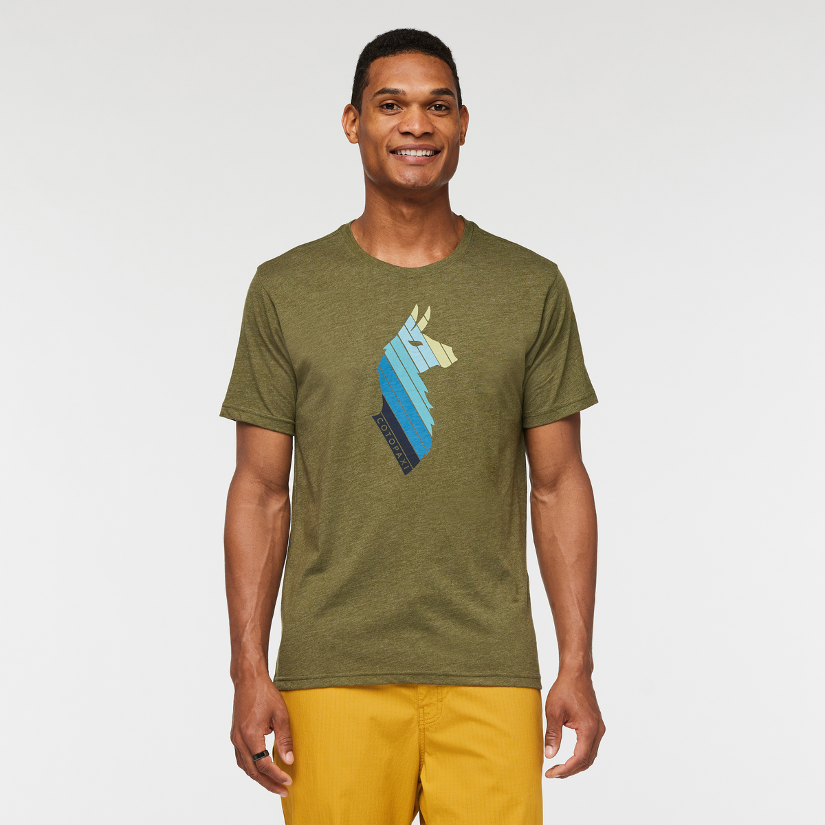 Llama Stripes T-Shirt - Men's — image 6