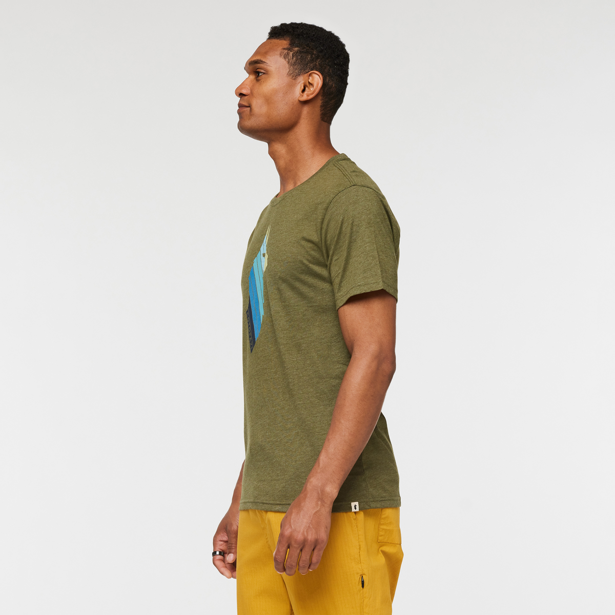 Llama Stripes T-Shirt - Men's — image 8