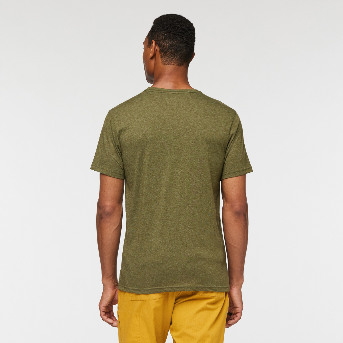 Llama Stripes T-Shirt - Men's — image 9