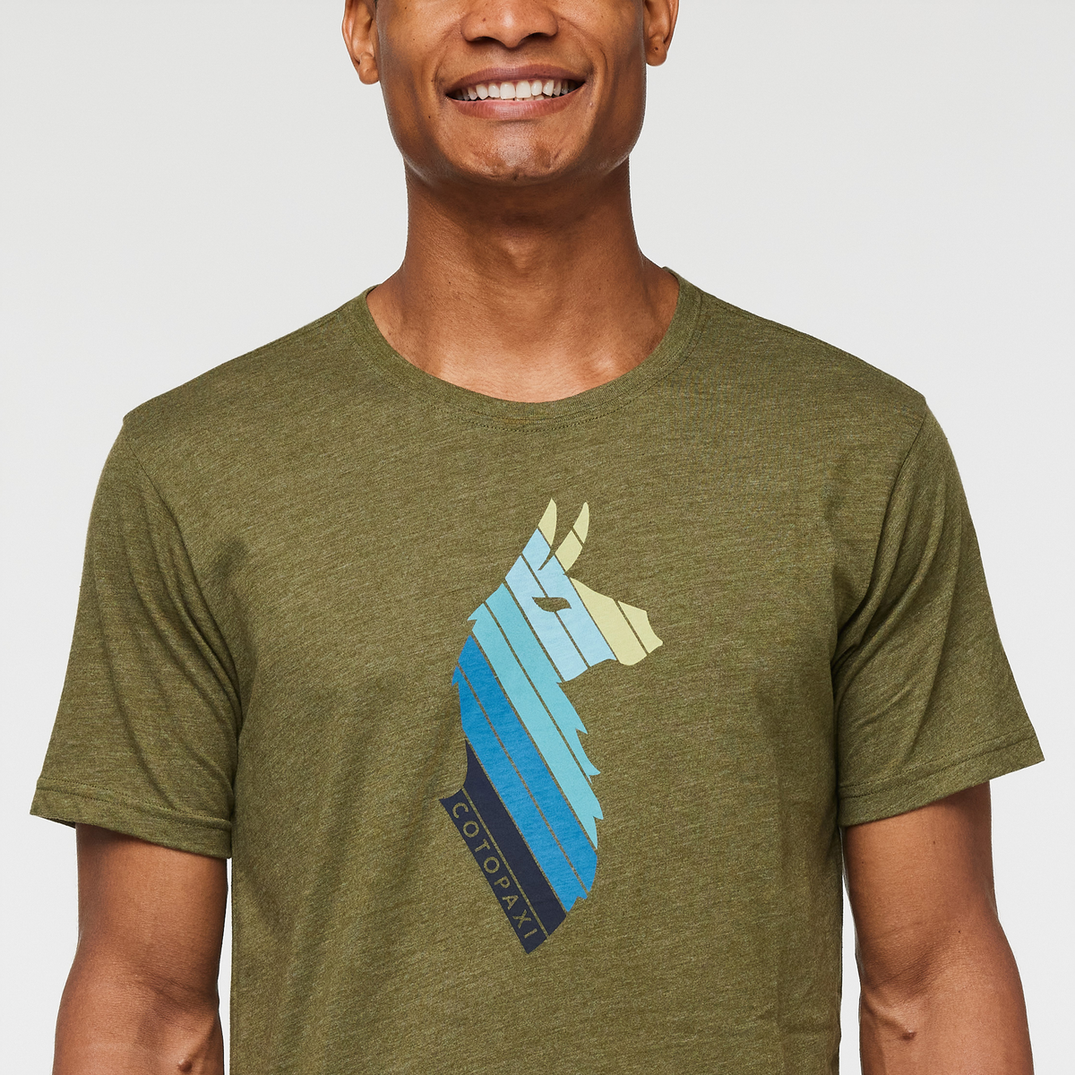 Llama Stripes T-Shirt - Men's — image 10