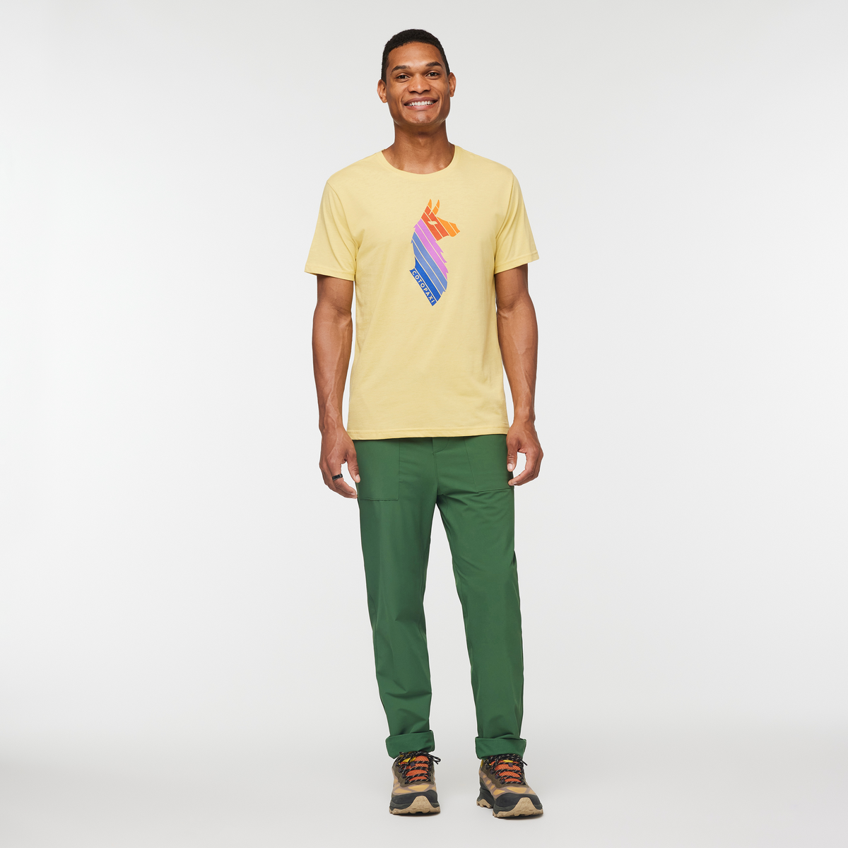 Llama Stripes T-Shirt - Men's — image 12