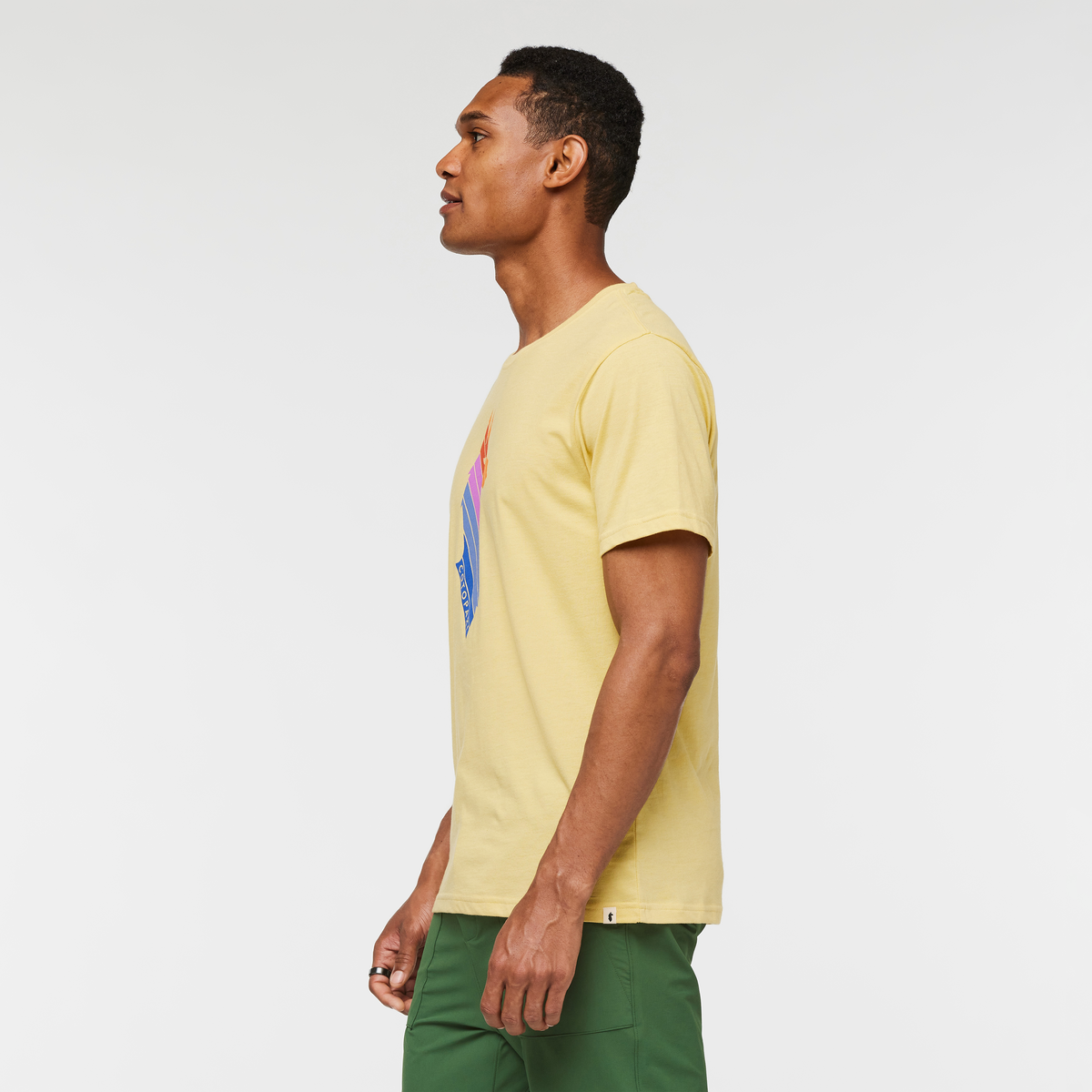 Llama Stripes T-Shirt - Men's — image 13