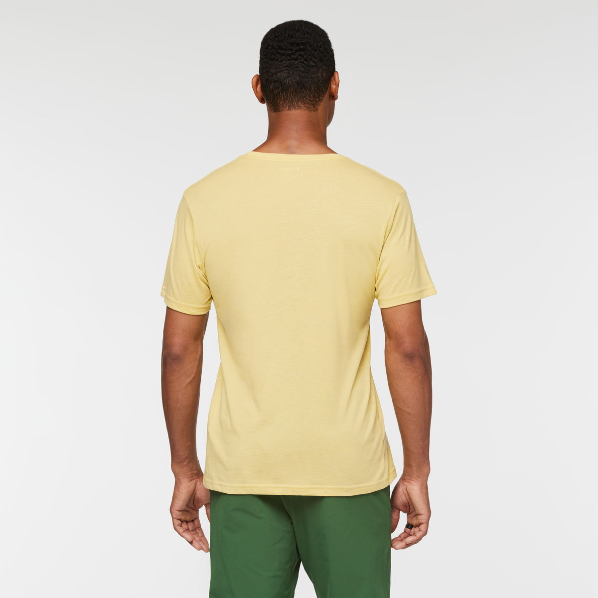 Llama Stripes T-Shirt - Men's — image 14