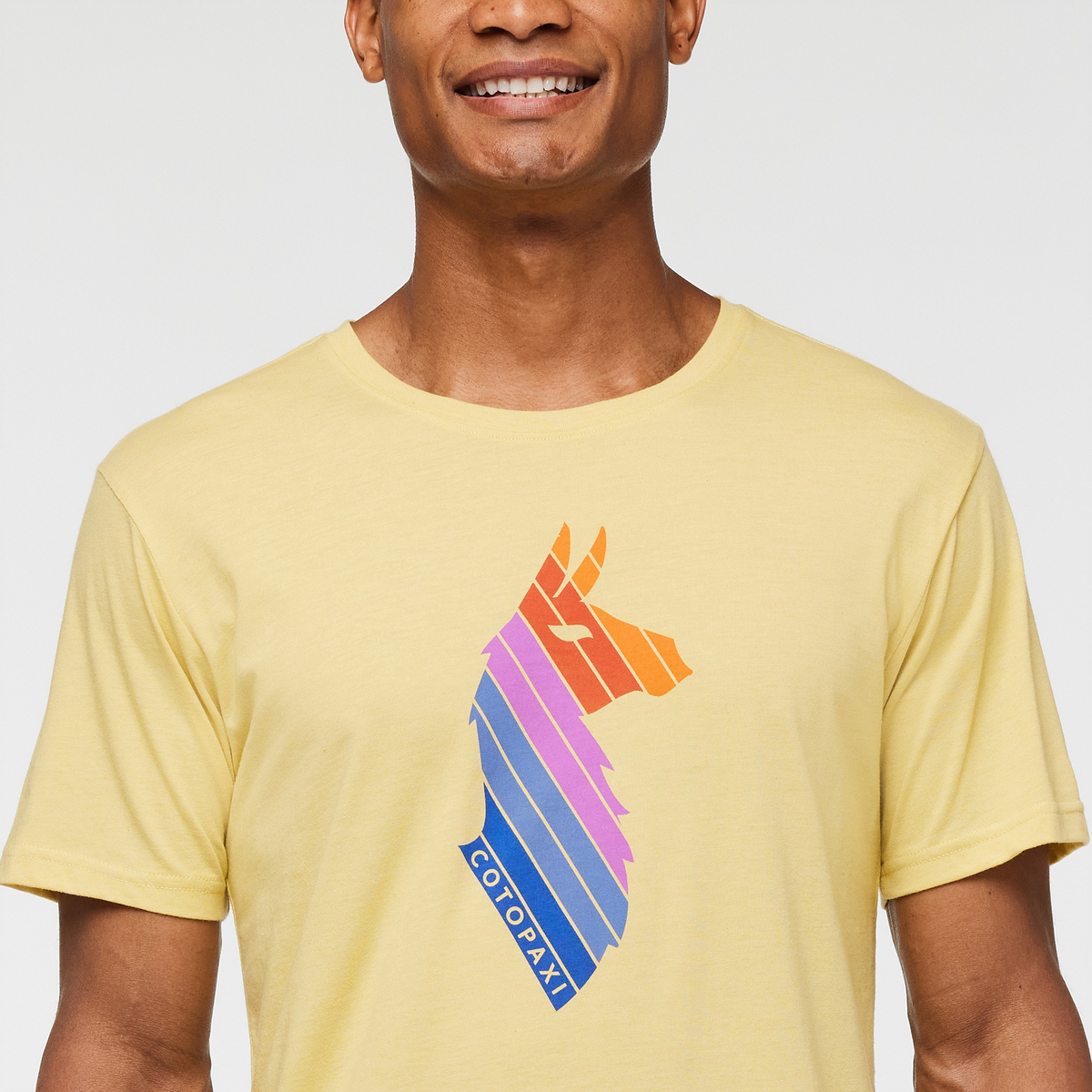 Llama Stripes T-Shirt - Men's — image 15