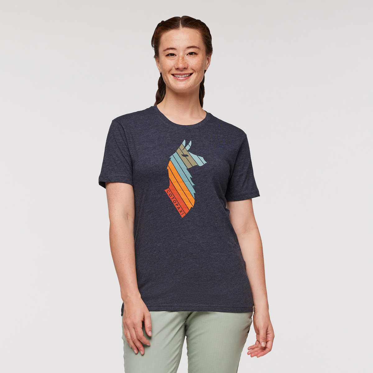 Llama Stripes T-Shirt - Women's — image 17