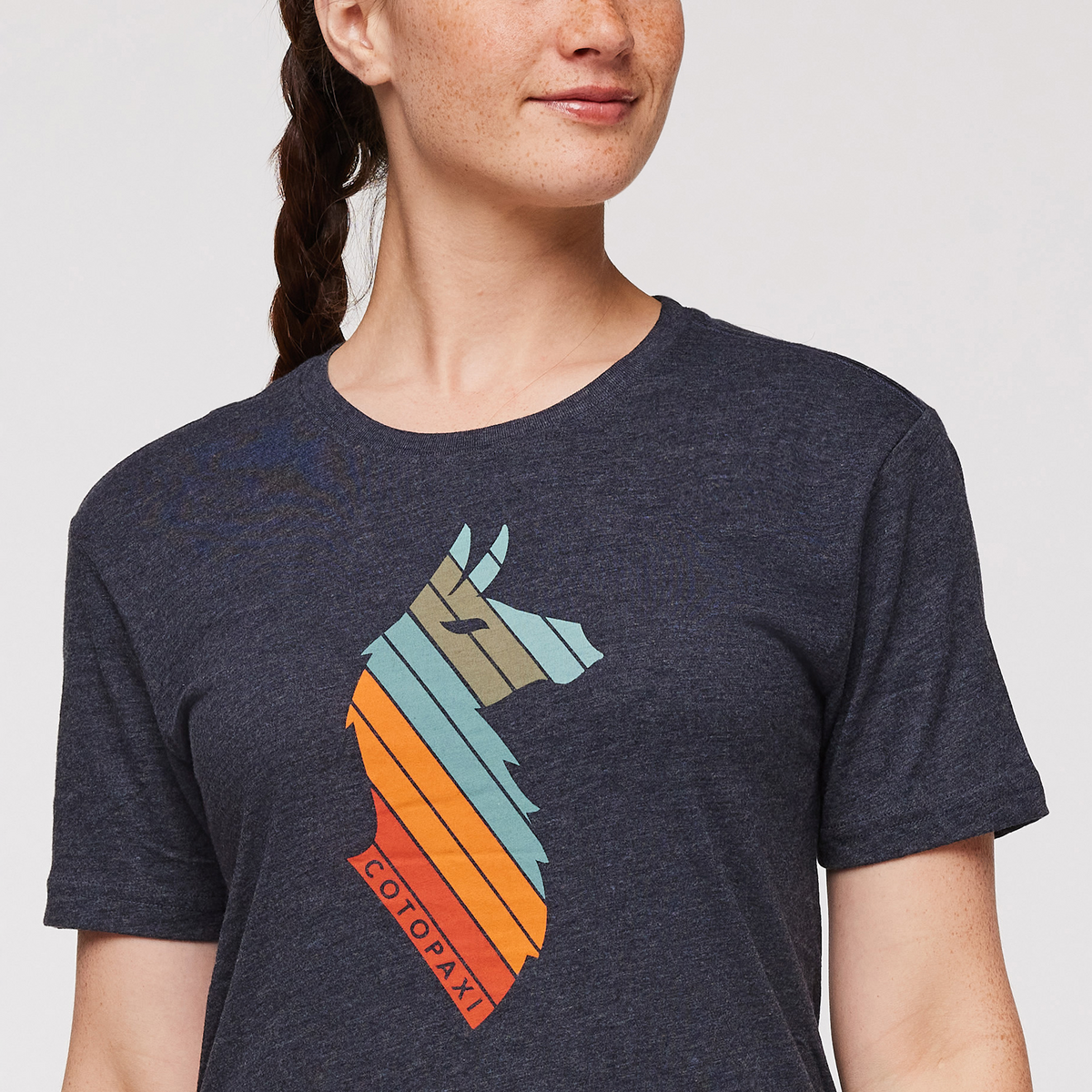 Llama Stripes T-Shirt - Women's — image 21