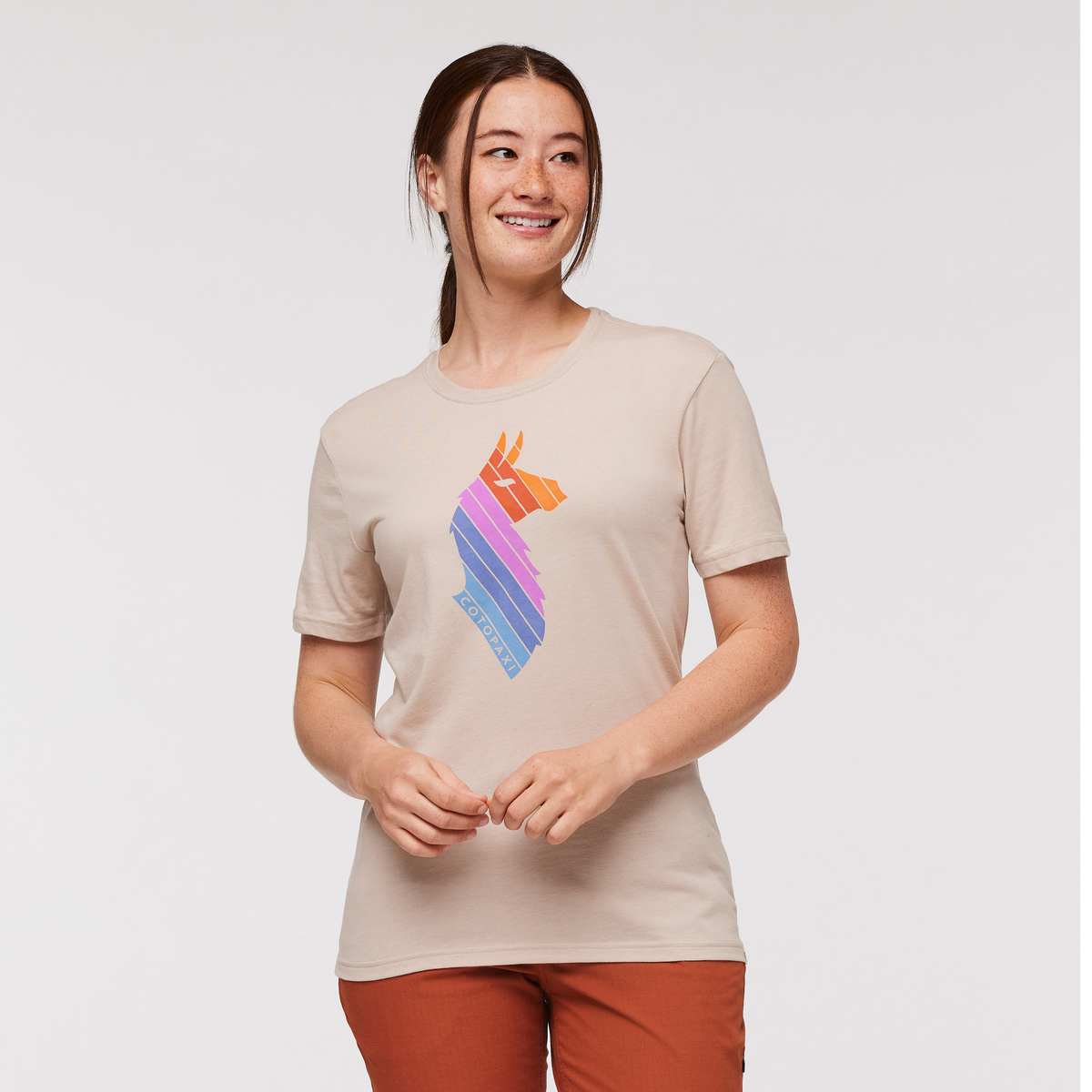 Llama Stripes T-Shirt - Women's — image 6