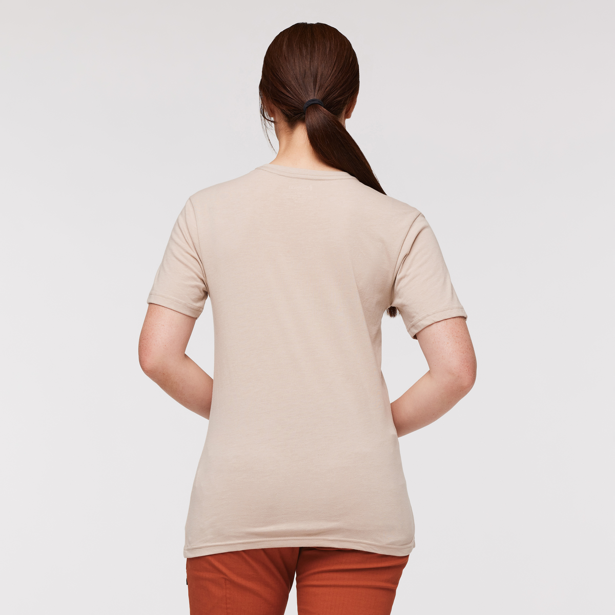 Llama Stripes T-Shirt - Women's — image 9