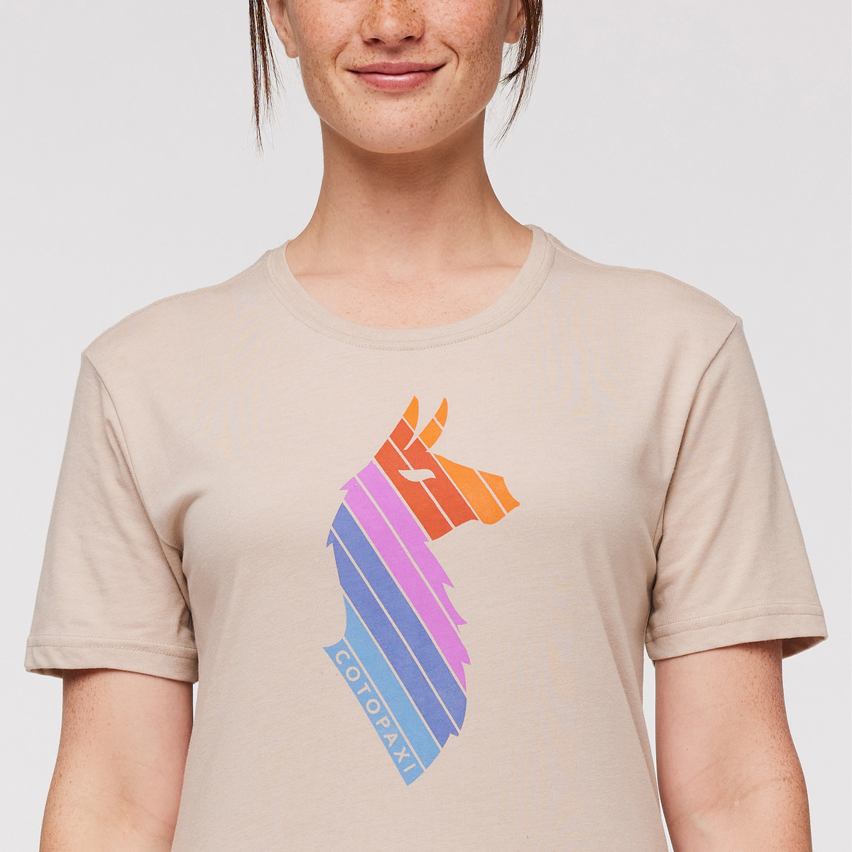 Llama Stripes T-Shirt - Women's — image 10