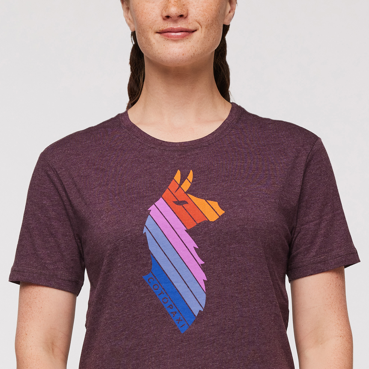 Llama Stripes T-Shirt - Women's — image 15
