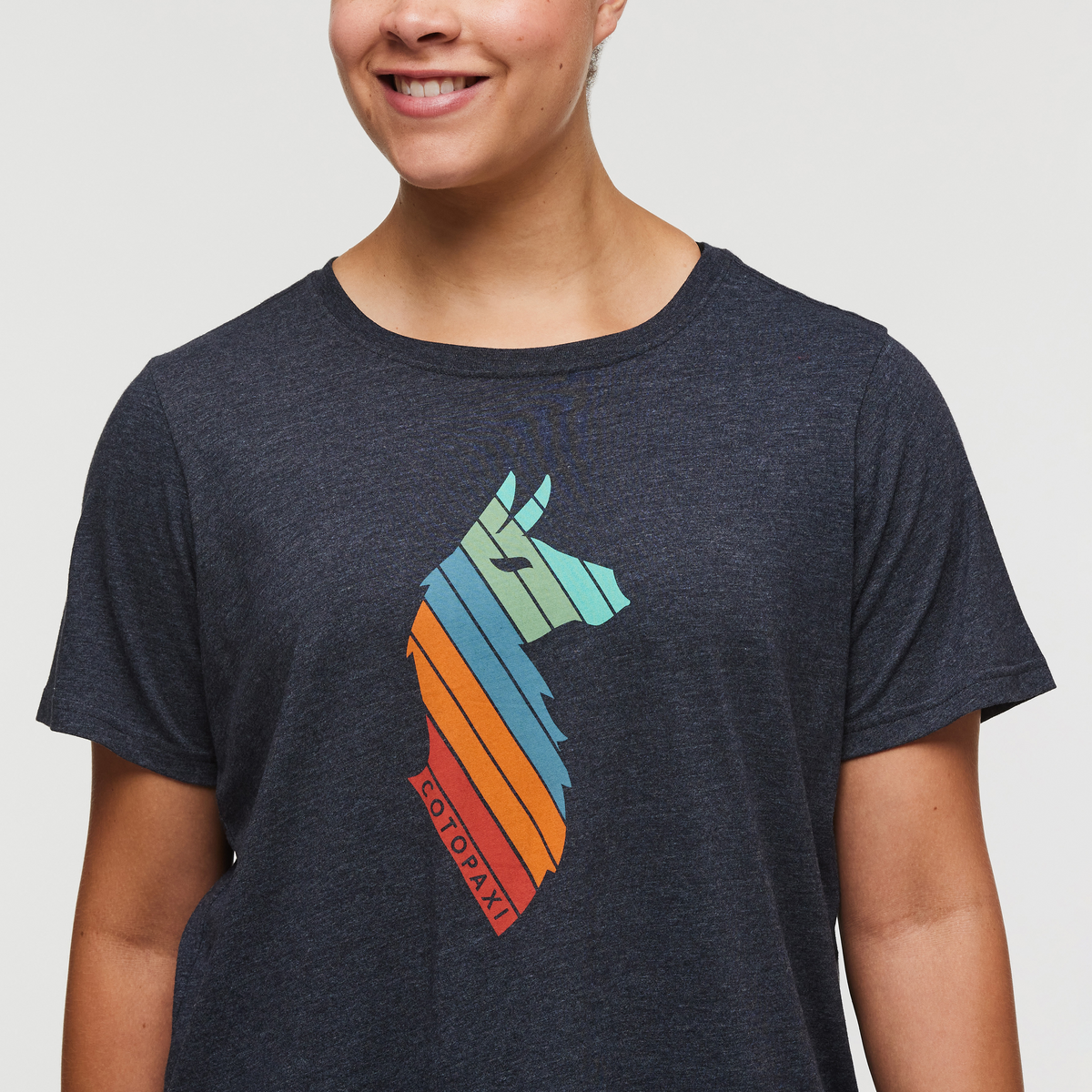 Llama Stripes T-Shirt - Women's — image 5