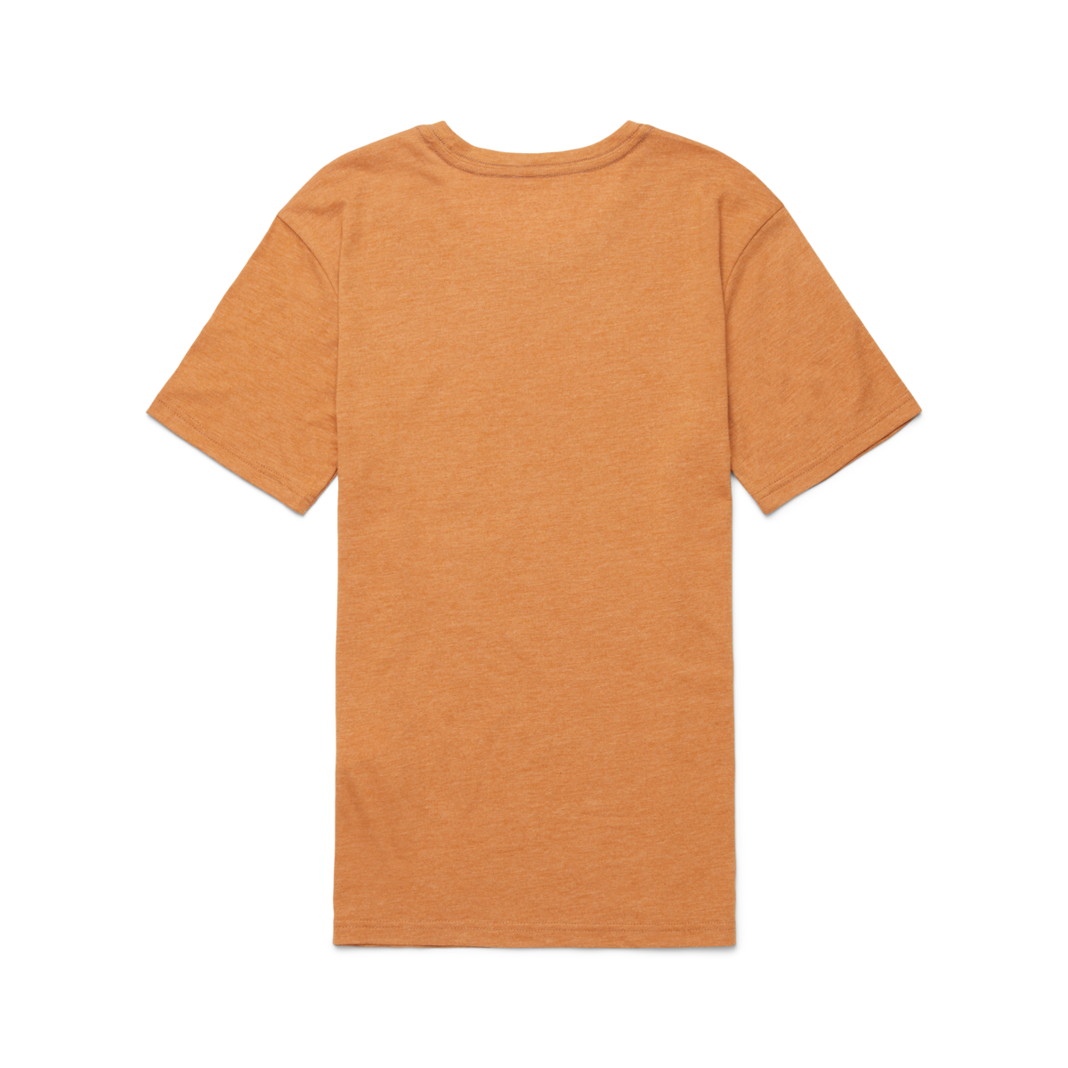 Traveling Llama T-Shirt - Women's — image 6