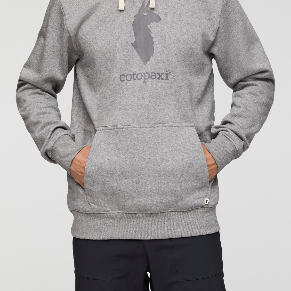 Cotopaxi Llama Pullover Hoodie - Men's — image 6