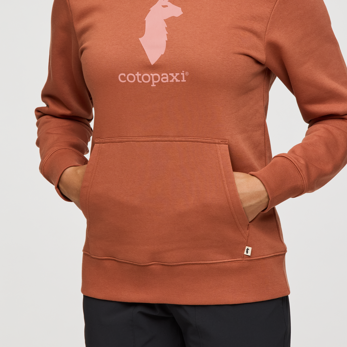 Cotopaxi Llama Pullover Hoodie - Women's — image 6