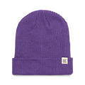 Black Violet