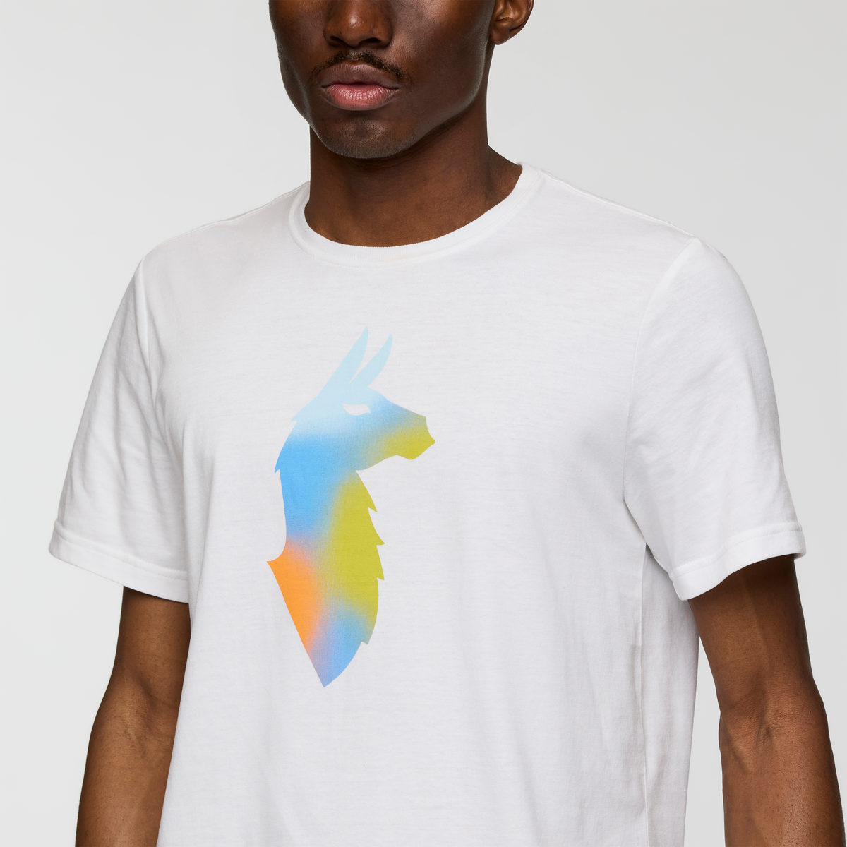 Bitmap Llama T-Shirt - Men's — image 12