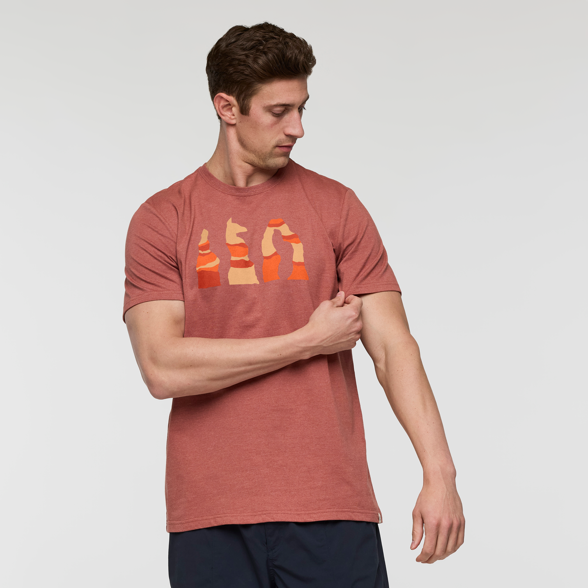 Llama Hoodoo T-Shirt - Men's — image 1