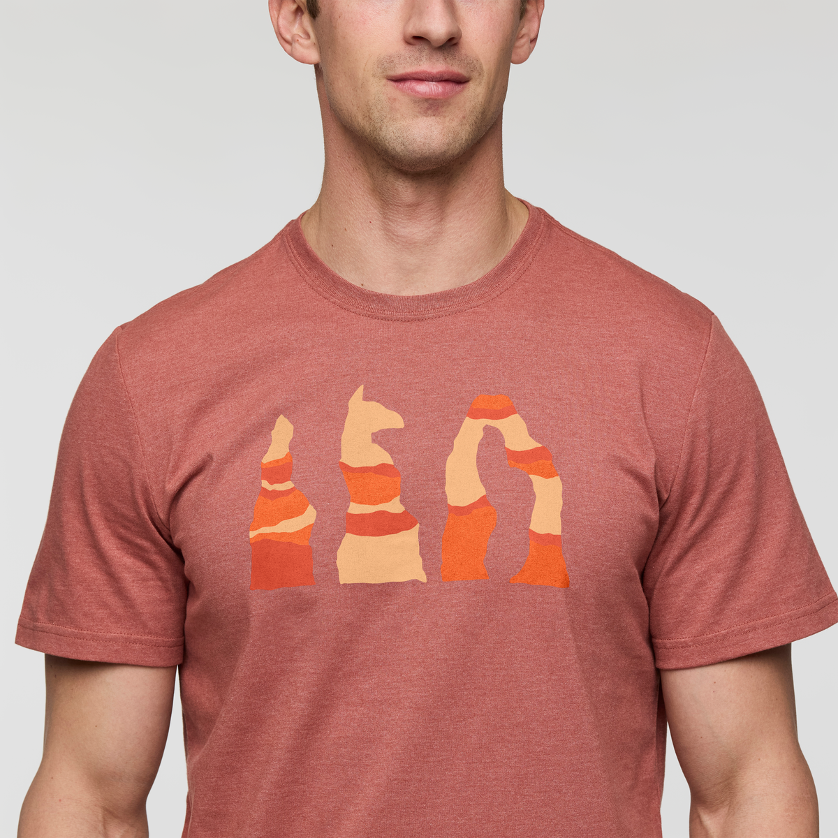Llama Hoodoo T-Shirt - Men's — image 5