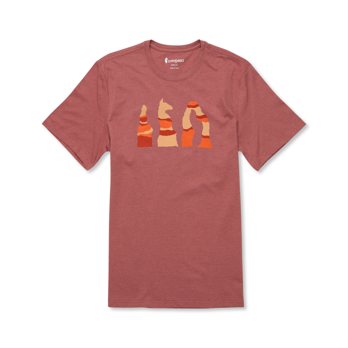 Llama Hoodoo T-Shirt - Men's — image 6
