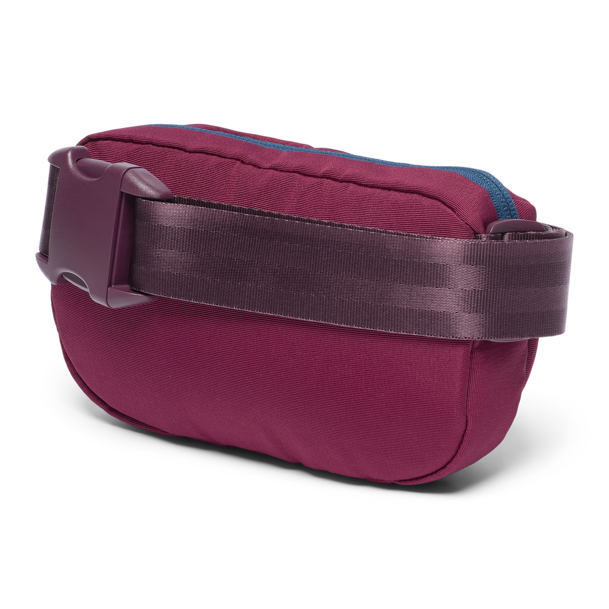 Todo 2L Hip Pack — image 14