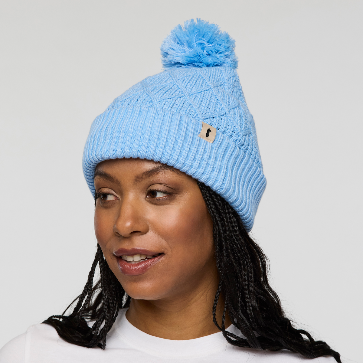 Tozo Beanie — image 13