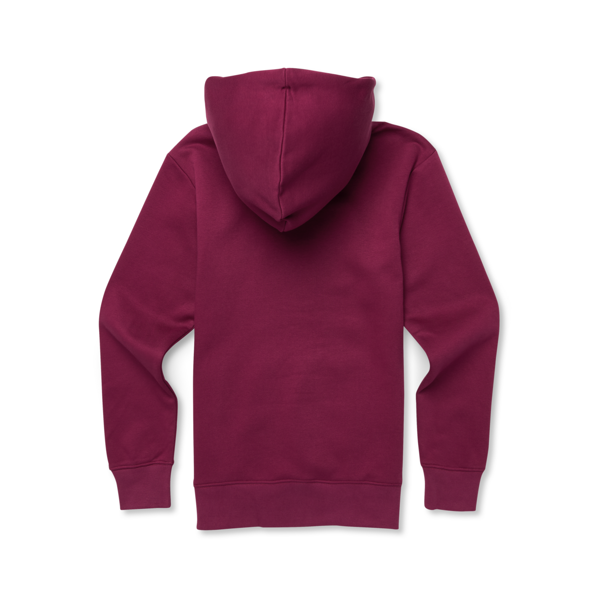 Llama Patch Pullover Hoodie - Women's — image 9