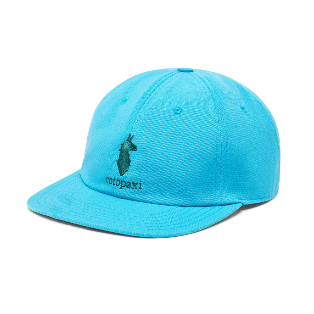 Cotopaxi Dad Hat — image 5