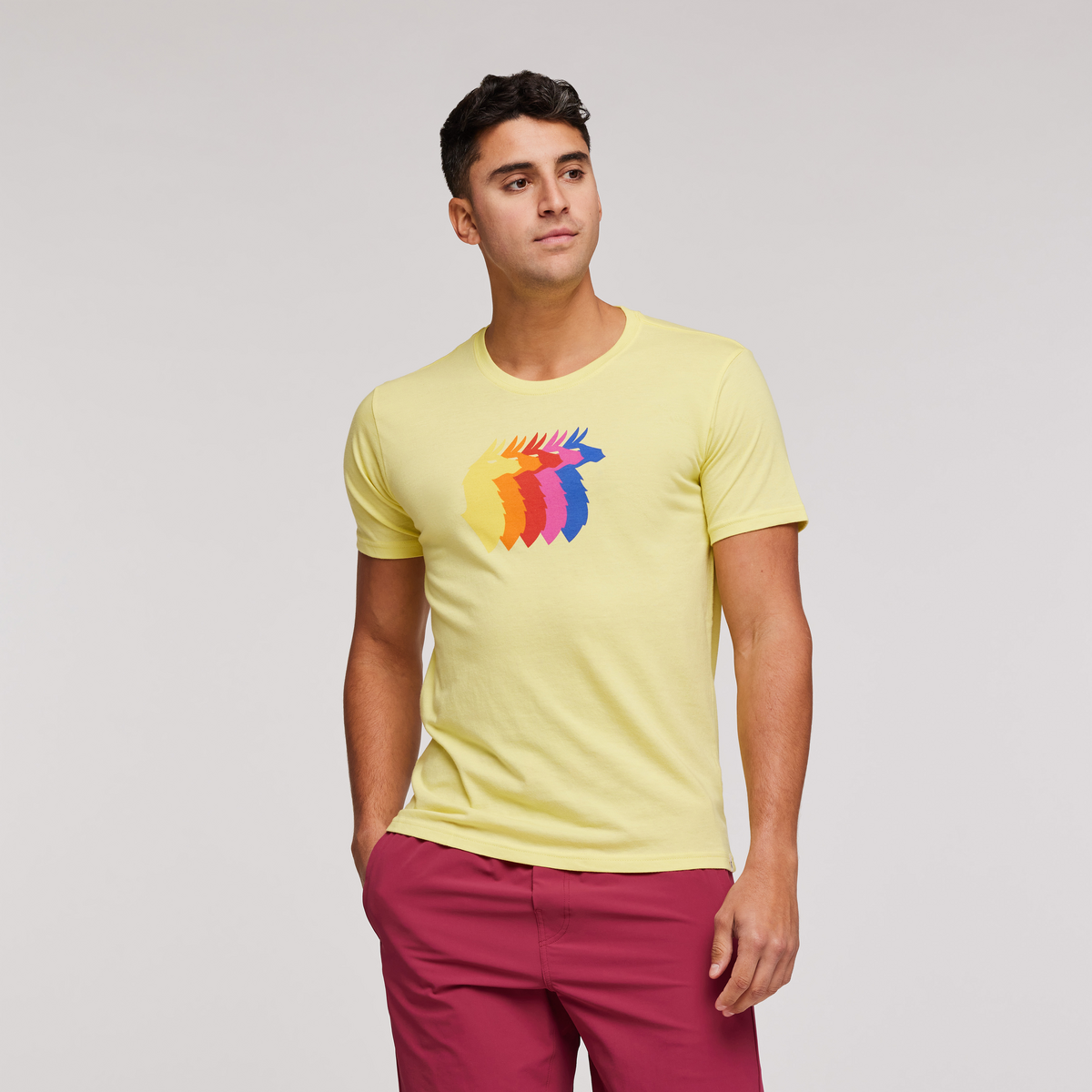 Llama Sequence T-Shirt - Men's — image 7