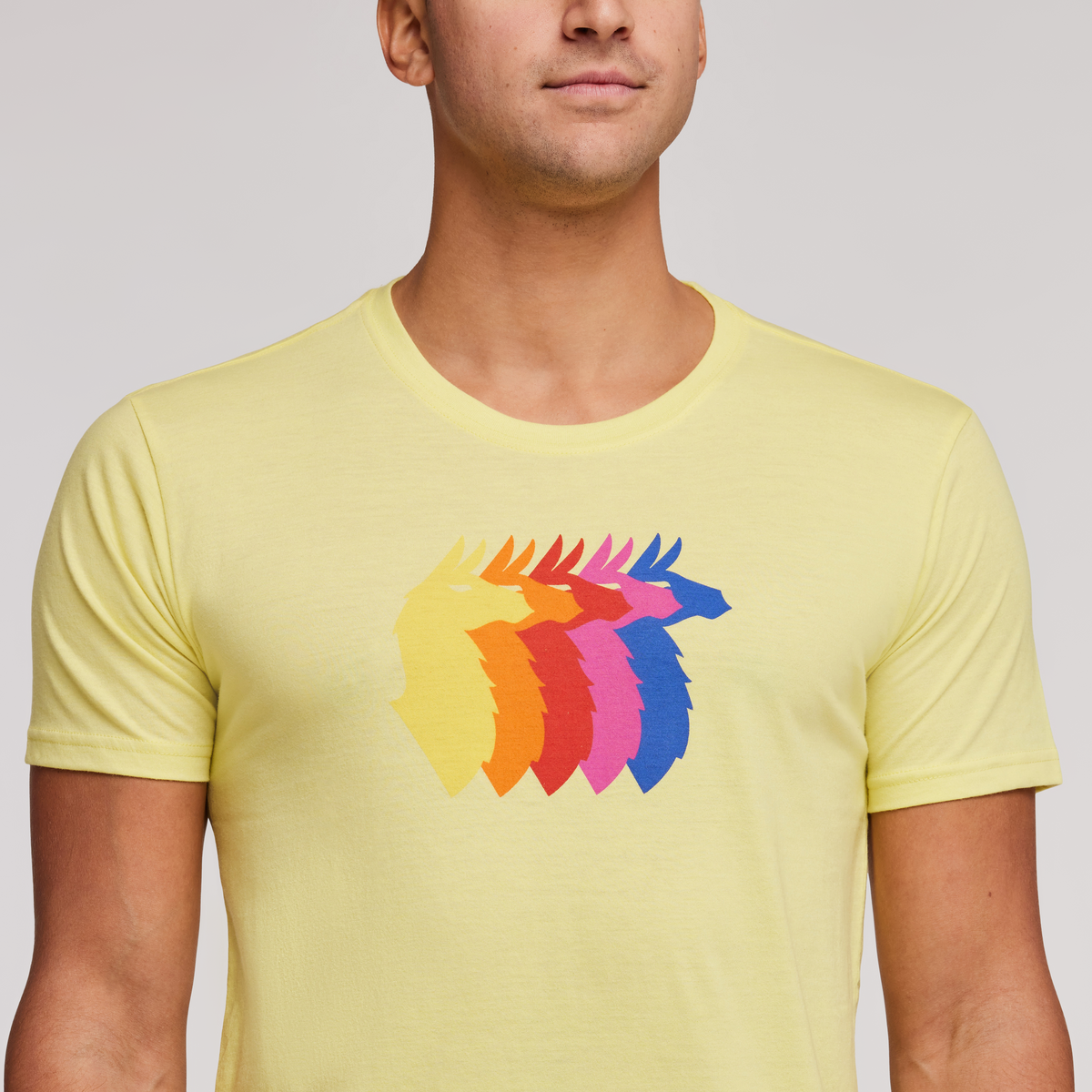 Llama Sequence T-Shirt - Men's — image 11
