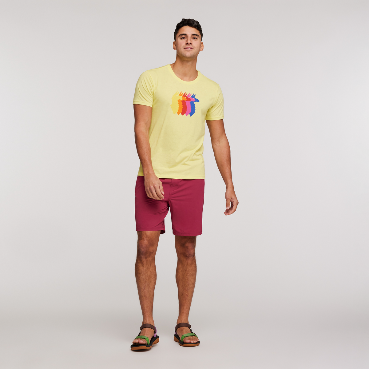 Llama Sequence T-Shirt - Men's — image 8