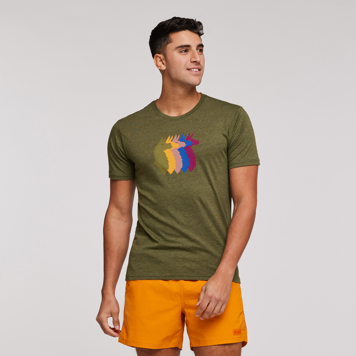 Llama Sequence T-Shirt - Men's — image 1