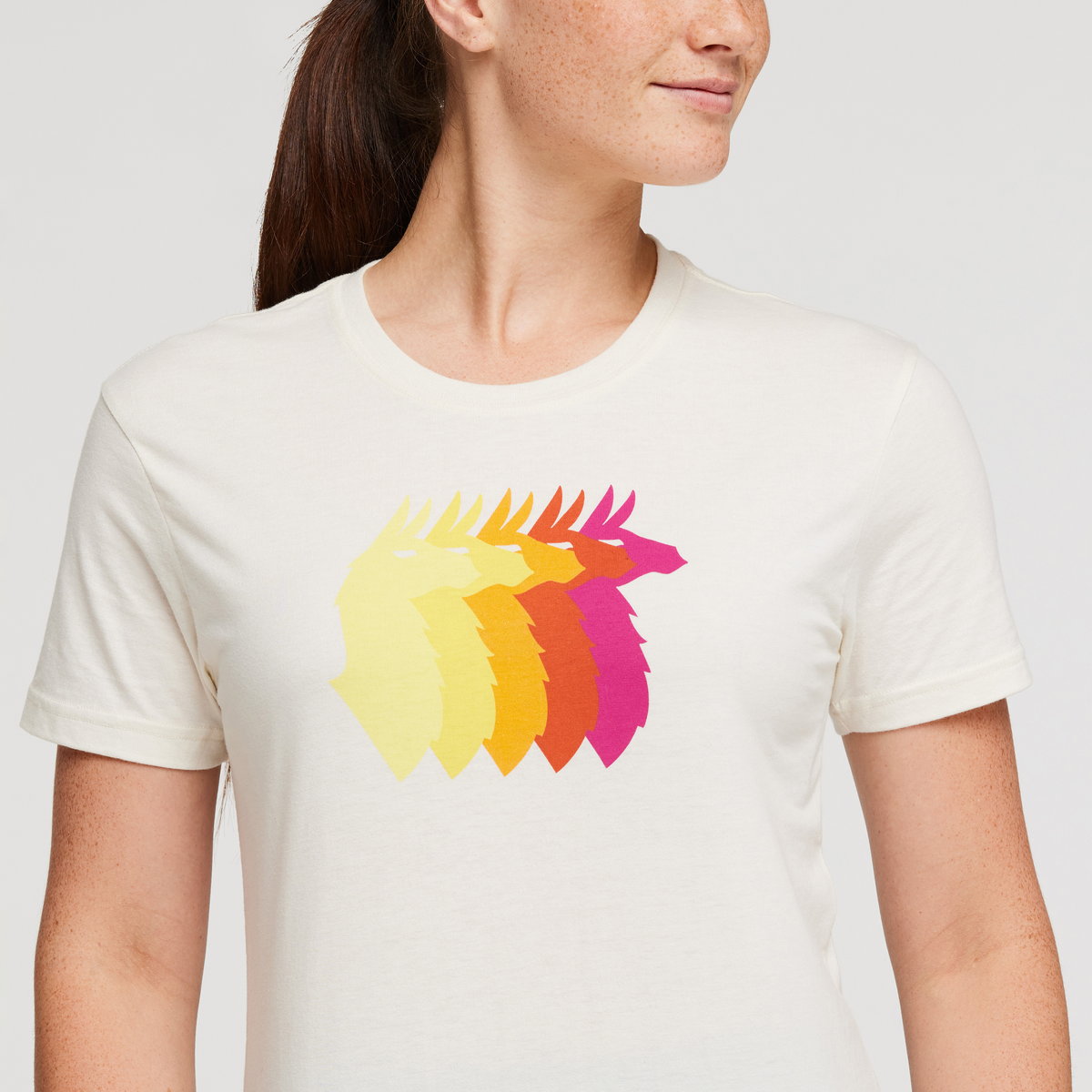 Llama Sequence T-Shirt - Women's — image 17