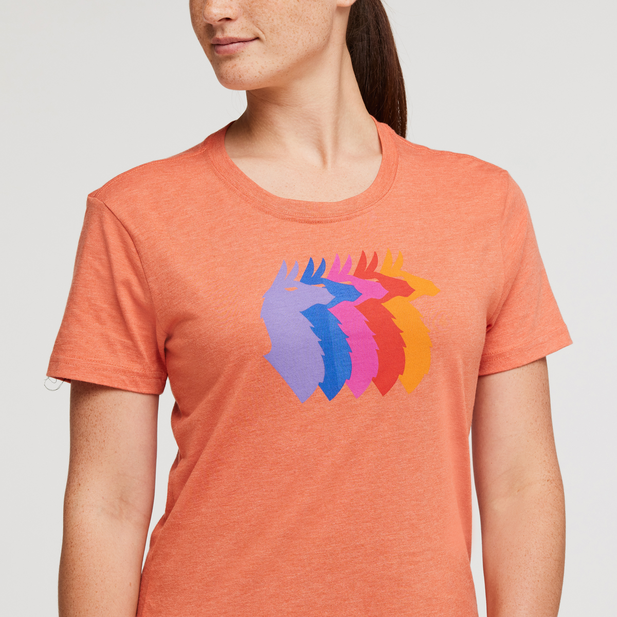 Llama Sequence T-Shirt - Women's — image 5