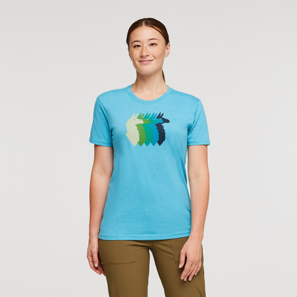 Llama Sequence T-Shirt - Women's — image 1